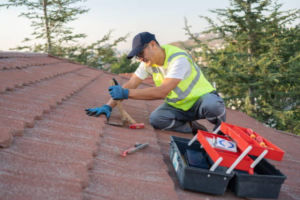Best Roof Gutter Cleaning  in Riner, VA